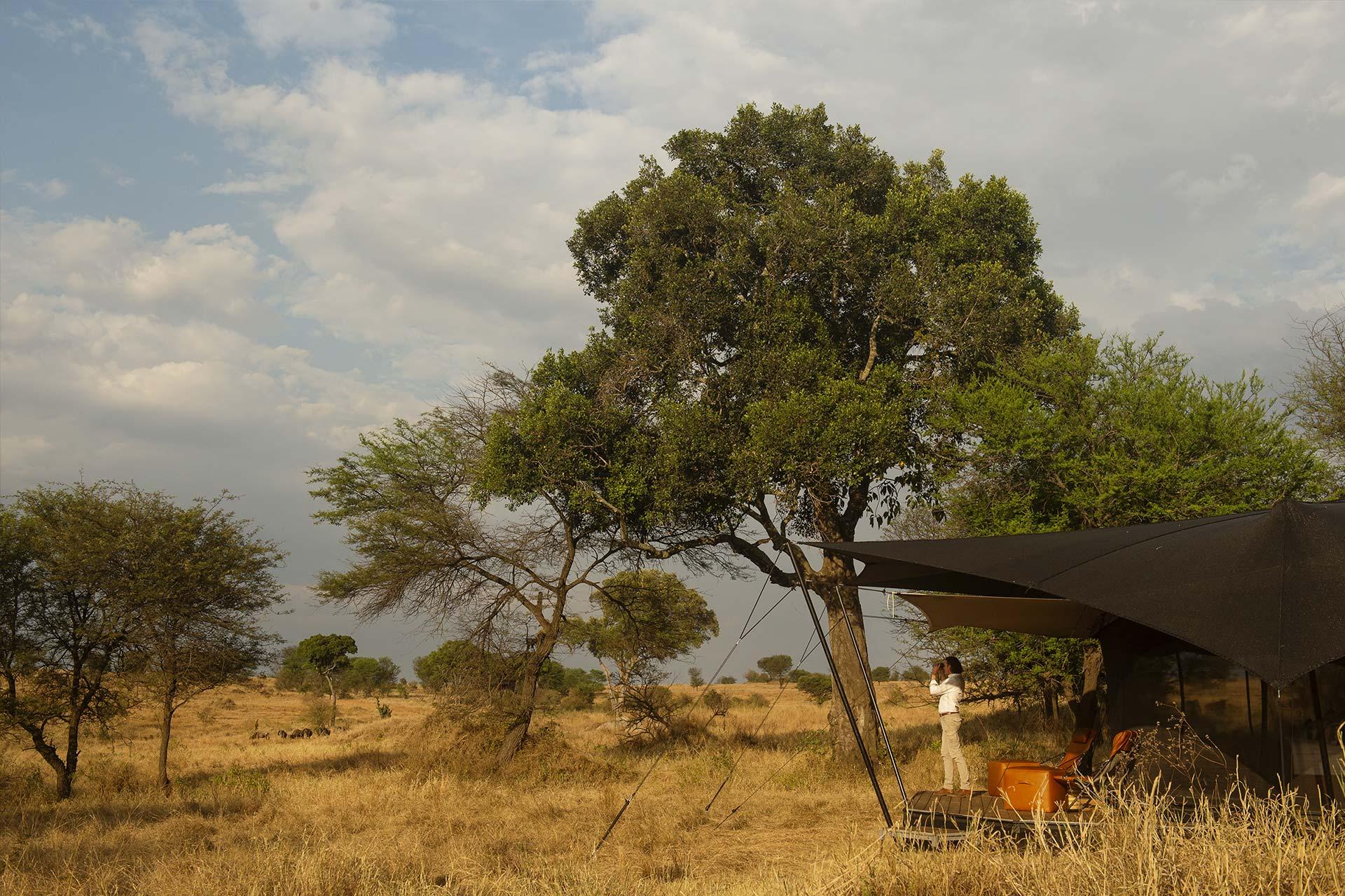 The Bedouin-style tents are positioned on a raised platforms to give you a 360-degree view of the Serengeti plains...